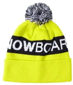 DC Chester Beanie 2021-2022 -Skipro DC dc chester beanie 2021 2022 179942488 ski pro