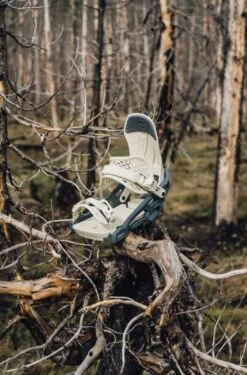 Arbor Ladies Acacia Snowboard Bindings 2021-2022 -Skipro New ARBOR 12W acacia w binding 12w689714862