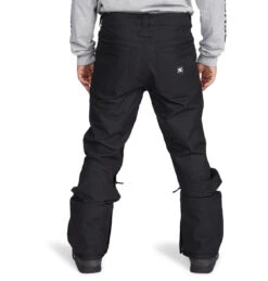 DC Relay Shell Pants 2021-2022 8 DC Relay Shell Pants 2021-2022 -Skipro dc relay shell pants 2022 ski pro back