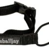 Oneball Back N Black Leash 2022-2023 -Skipro oneball back n black leash 2022 2023 ski pro 447811948