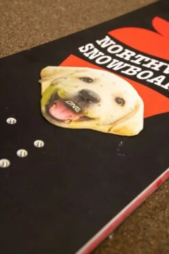 Oneball Lab Stomp Pad 2022-2023 -Skipro oneball lab stomp pad 2022 2023 ski pro 952063676