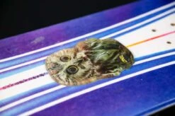 Oneball Owl Stomp Pad 2022-2023 -Skipro oneball owl stomp pad 2022 2023 ski pro 531917408