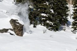 Lib Tech T.Rice Golden Orca Snowboard 2022-2023 -Skipro travis rice golden orca snowboard natural selection